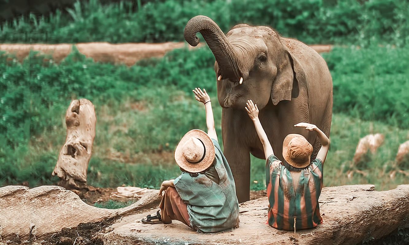 Phuket Thai Elephant Sanctuary 1-day tour with mud spa and charity elephant park, including island-wide transfers