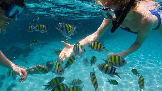 Chuyến đi trong ngày từ Miami đến Key West với nhiều lựa chọn hoạt động