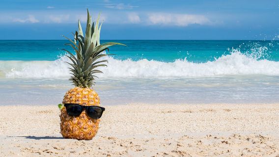 Oahu's Ultimate Grand Circle Island Tour with Snorkeling and More