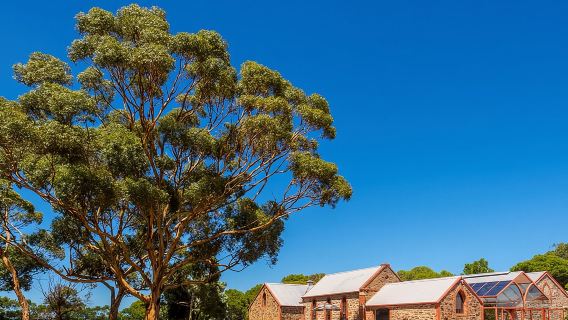 McLaren Vale and Glenelg Wine Tasting and Sightseeing (Half-day Afternoon)