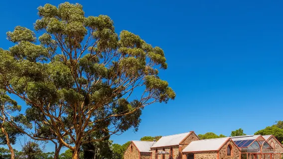 Degustazione di vini e visite turistiche a McLaren Vale e Glenelg (mezza giornata pomeriggio)