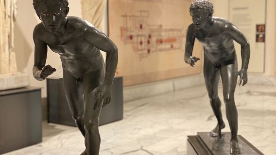 Private Tour of the National Archaeological Museum of Naples