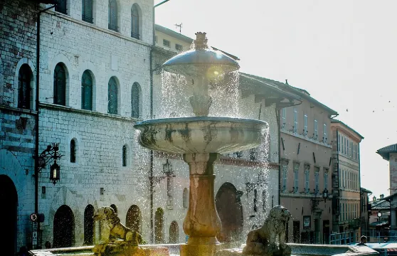 私人聖方濟各阿西西聖殿及城市步行導覽