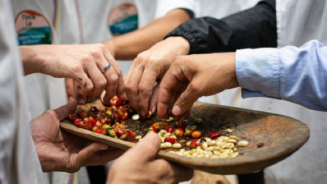 Кофейный тур с прибытием верхом и переработкой сахарного тростника