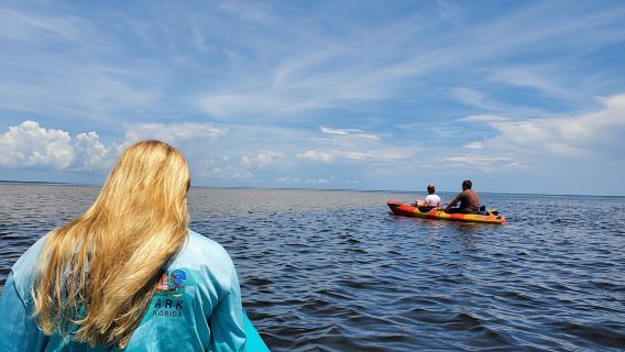 Full-day hiking and paddling tour in Everglades National Park