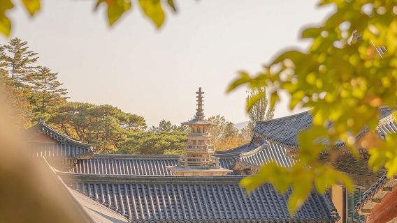 Tour privado por Gyeongju - Descubre los sitios de Gyeongju declarados Patrimonio de la Humanidad por la UNESCO