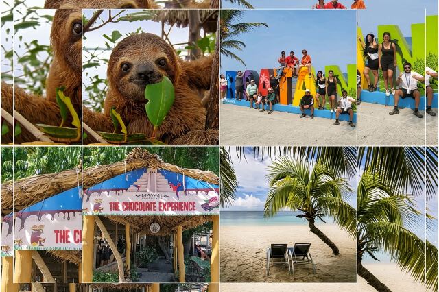 Paresseux et singes de Roatan, chocolaterie et pause plage