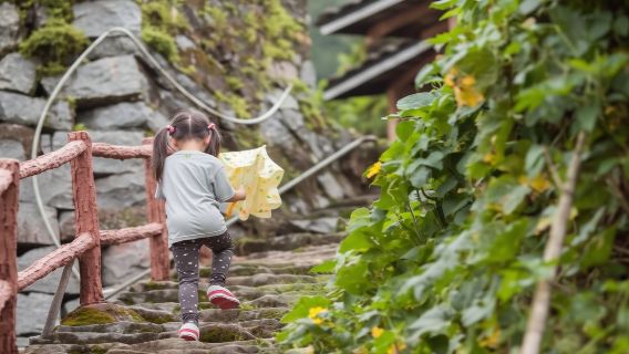 漳州南靖土樓設施雲水謠土樓【導覽講解服務可選時段】