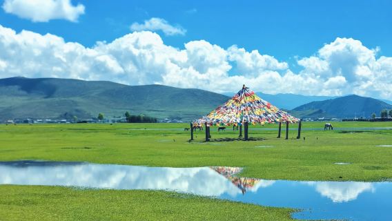 香格里拉納帕海(依拉草原)一日遊【環湖包車遊+獨立一單一團】