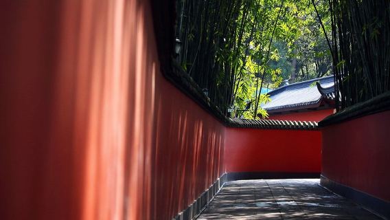 Tour culturale di Chengdu con guida in lingua straniera: Base dei Panda + Tempio di Wuhou EA (con trasporto incluso)