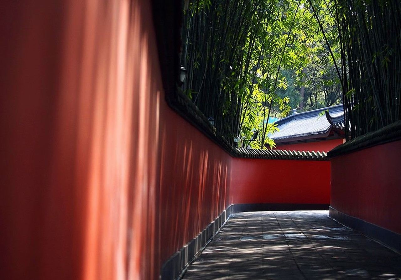 Tour culturale di Chengdu con guida in lingua straniera: Base dei Panda + Tempio di Wuhou EA (con trasporto incluso)
