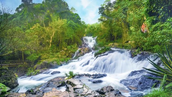 From Da Lat : 1-Day Da Lat Tour