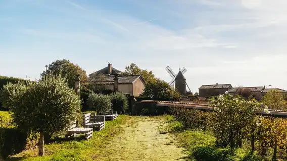 จากลียง: ทัวร์ชิมไวน์ Beaujolais พร้อมชิมไวน์