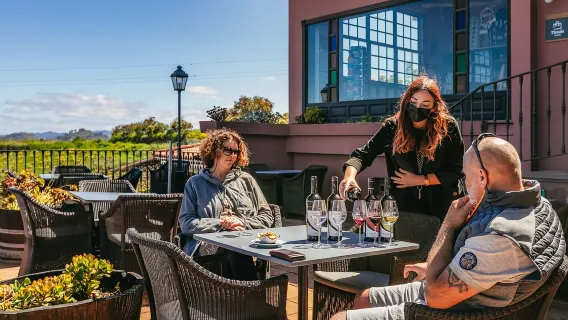 Tacoronte: Geführte Weintour mit Wein- und Käseverkostung