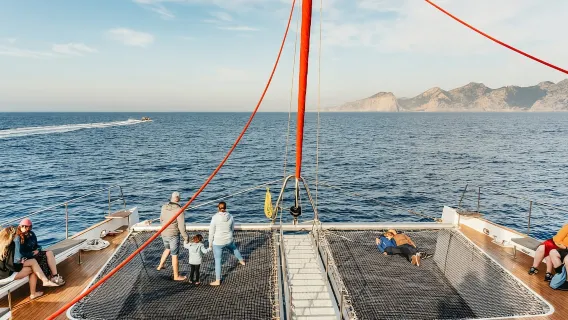 Porto d'Alcudia: Tour in Barca all'Alba con Avvistamento Delfini