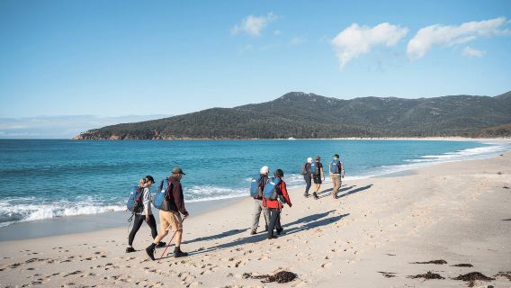 Freycinet: passeggiata guidata di 5,5 ore per piccoli gruppi + esperienza in barca