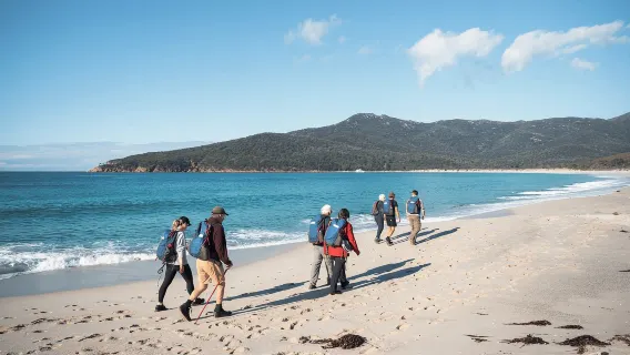 Freycinet: Trải nghiệm đi bộ + đi thuyền có hướng dẫn viên theo nhóm nhỏ kéo dài 5,5 giờ