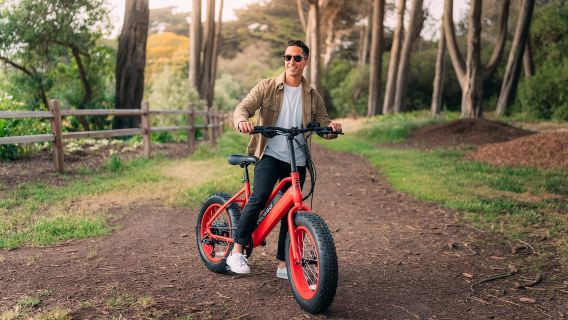 Electric Bike Rentals Leesburg, VA: Full Day or Half Day