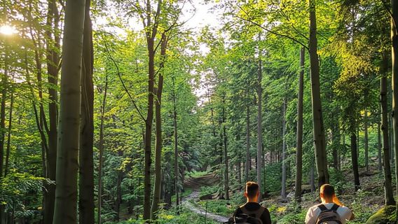 Escursione sulle montagne polacche: gita di un giorno a Rudawy Janowickie