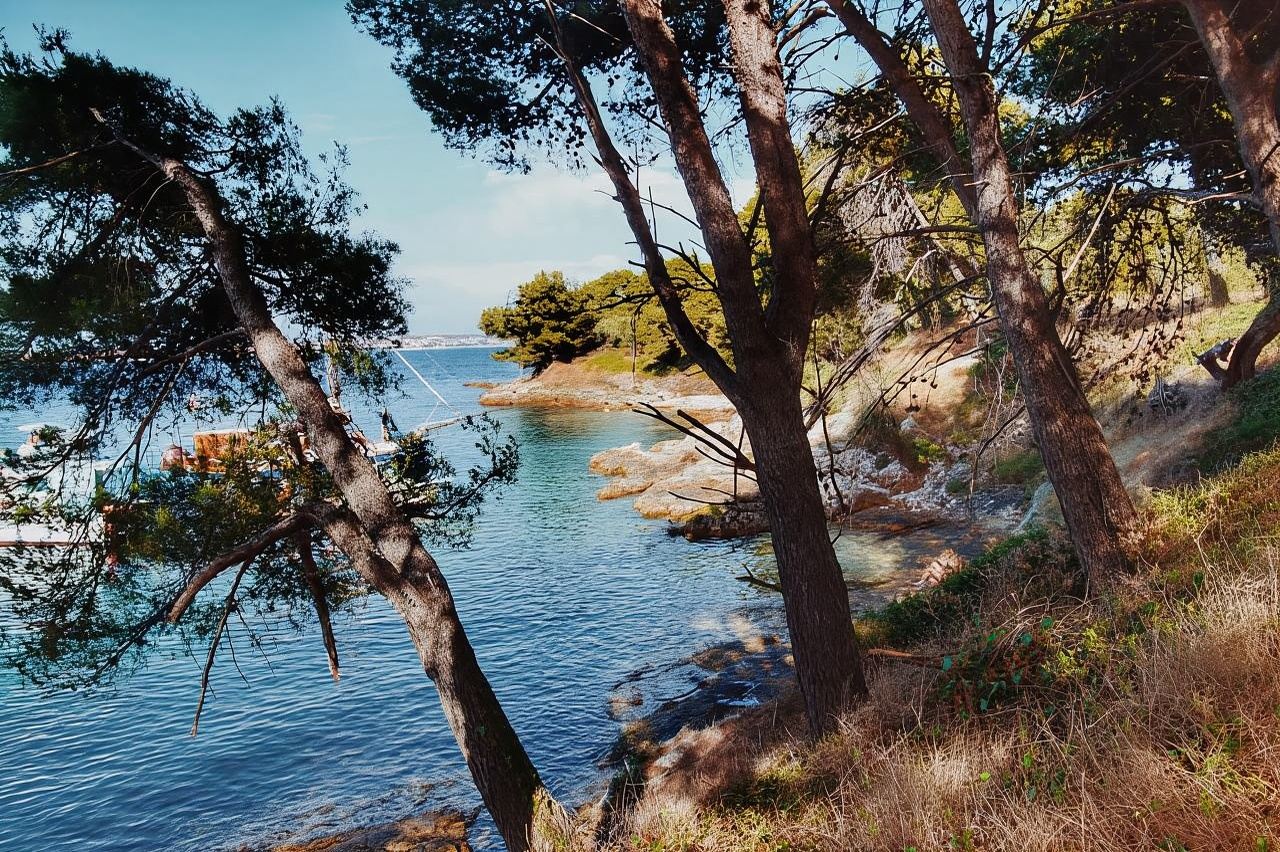 Zadar: Inselkreuzfahrt mit Getränken, Schnorcheln und Kajakfahren