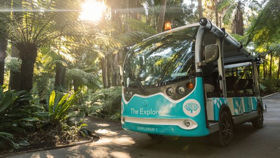 Melbourne: Recorrido en minibús por los jardines de Melbourne