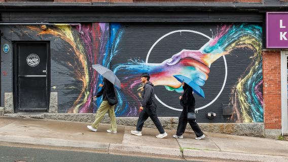 Halifax: Small Group Walking Tour with Citadel & Museum