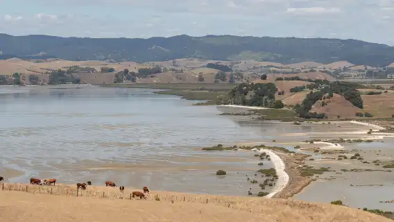 ทัวร์เดินชมสวนสาธารณะภูมิภาคดูเดอร์