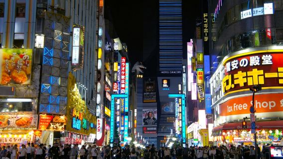 Tokio: Visita guiada a pie por el distrito de Shinjuku por la noche