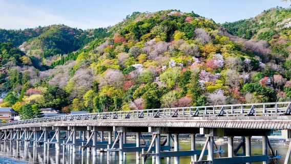 【大阪】奈良公園+東大寺+伏見稻荷大社+清水寺+日本-花見小路一日