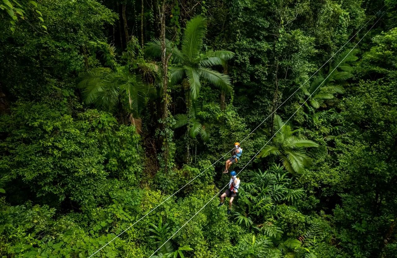 [อัพเกรดทัวร์] ทัวร์ 1 วัน ป่าดิบชื้นเดนทรี เครนส์ + สไลเดอร์ยอดไม้ + เคปทริบูเลชัน + การล่องเรือจระเข้