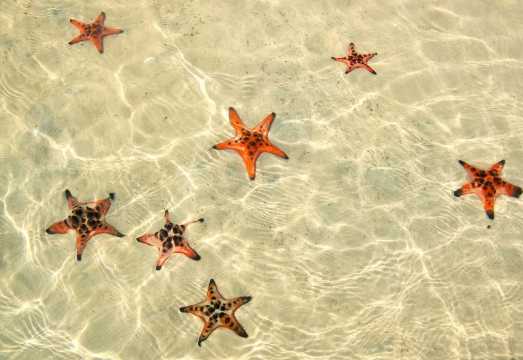 Phu Quoc Rach Vem Fishing Village Starfish Kingdom Tour Guide