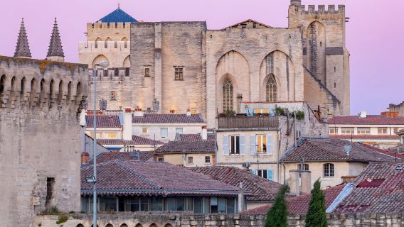 法國阿維尼翁一日遊-行程可訂製【中文包車自由行】