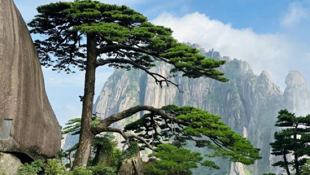 安徽黃山：私人陪爬服務｜專業導遊｜景點導覽｜一單一團【中英日韓等多語種】