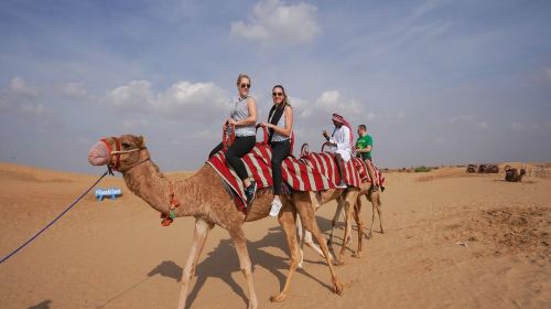 Red Dunes Safari by Quad Bike, Camel Ride, Sandboarding and BBQ at Al Khayma Camp Day Tours 6