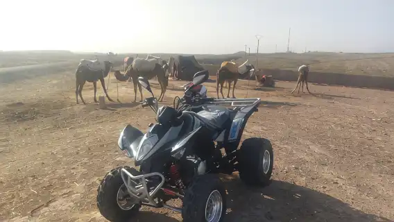 Quad Biking & camel ride Agafay desert with Lunch or dinner