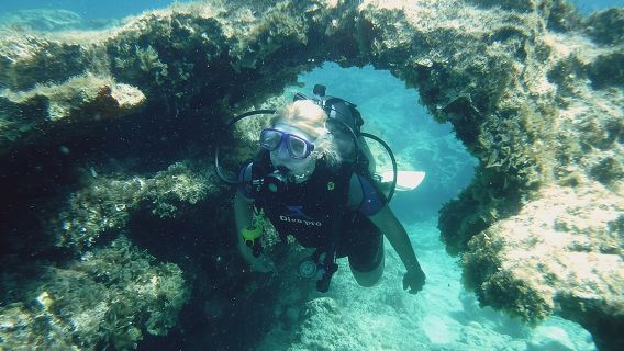 Local Guided Dives (for certified/licensed divers)