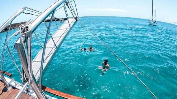 Lobos Island Ferry with Snorkel from Corralejo, Fuerteventura