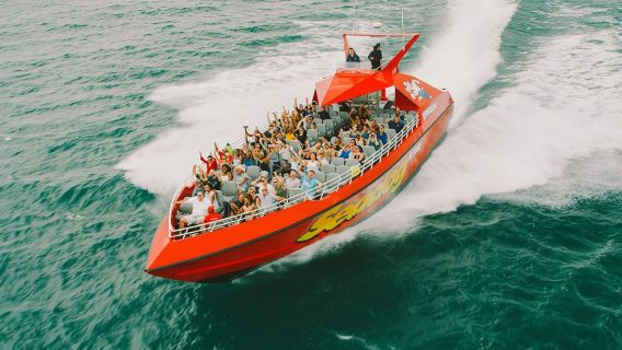 Chicago Seadog: Extreme Thrill Ride