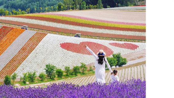 Hokkaido, Japan + Asahiyama Zoo + Forest Elf Terrace + Biei Day Tour