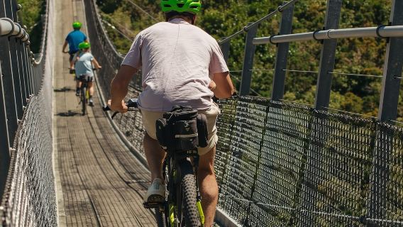 Chuyến tham quan khám phá bằng xe đạp điện trên đường ray Remutaka, New Zealand 93471