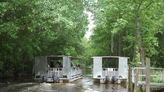 Jelajah Jean Lafitte 90-Minit Paya dan Bot Bayou