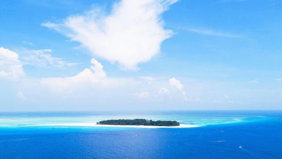 เกาะ Mnemba, ทัวร์ลิง, ทัวร์ถ้ำ Kuza, หาด Paje, เดอะร็อค