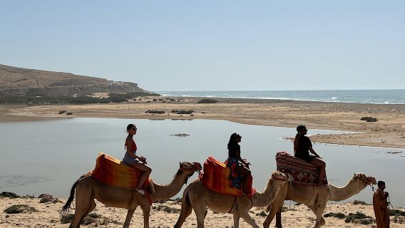 Camel Riding and Moroccan Tea on Tamri Beach from Agadir or Taghazout