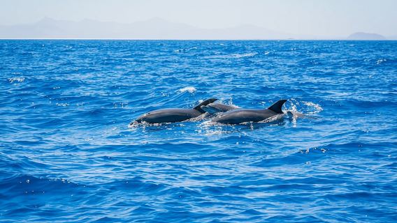 LanzaroteTours