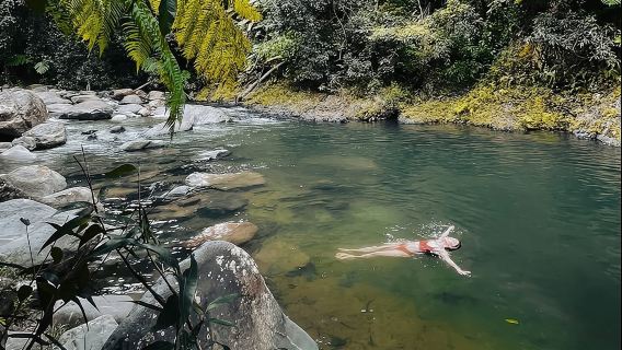 El Yunque National Forest Guided Tour with Transport