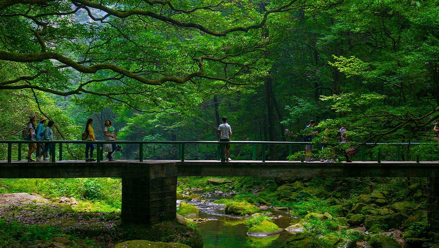 Private Tour in Zhangjiajie National Forest Park with Avatar Mountain