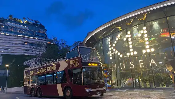 Big Bus Hong Kong Panoramic Night Tour by Open-Top Bus