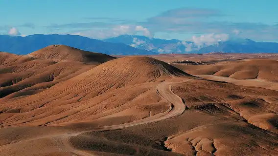 Quad, camel and dinner with show in the desert of Agafay