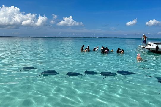 趣味家庭 3 站 Stingray City 冒險之旅