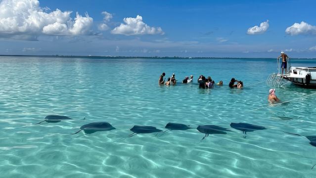  StingrayCity ,Coral Garden & Starfish Tour. 